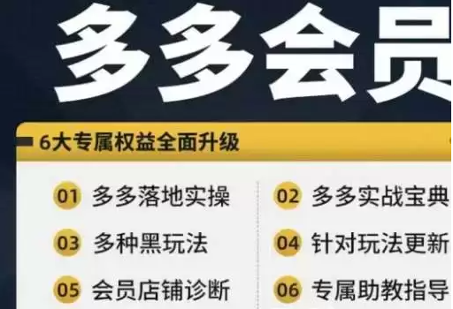 《拼多多实战宝典+实战落地实操》从新手到高阶内容全面覆盖[mp4]-破局客