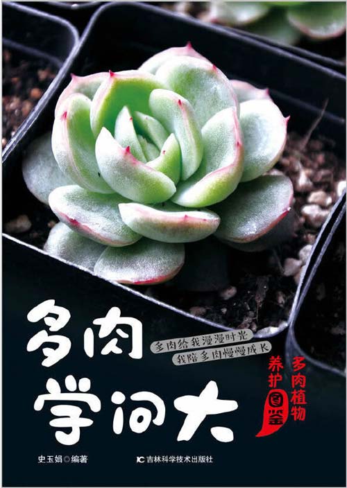 《多肉植物养护图鉴 多肉学问大》[pdf]-破局客