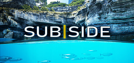 《Subside》价格介绍《Subside》价格介绍Subside-破局客