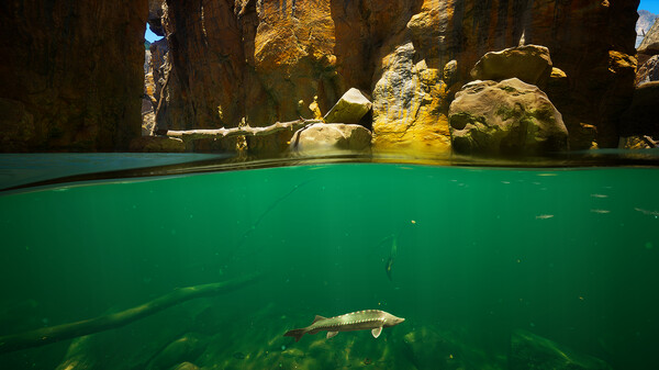 《Subside》配置要求一览《Subside》配置要求一览Subside-破局客